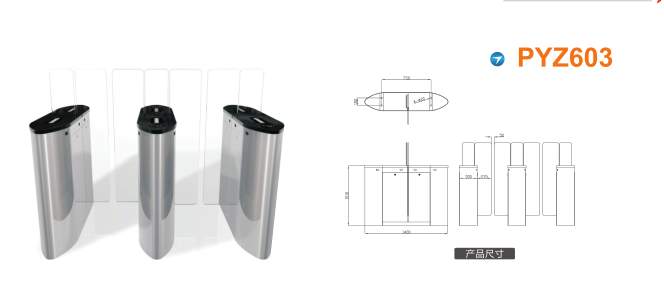 西安高新区平移闸PYZ603